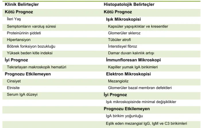 Tablo 2  IgA Nefropatisinde Prognostik Belirteçler* 