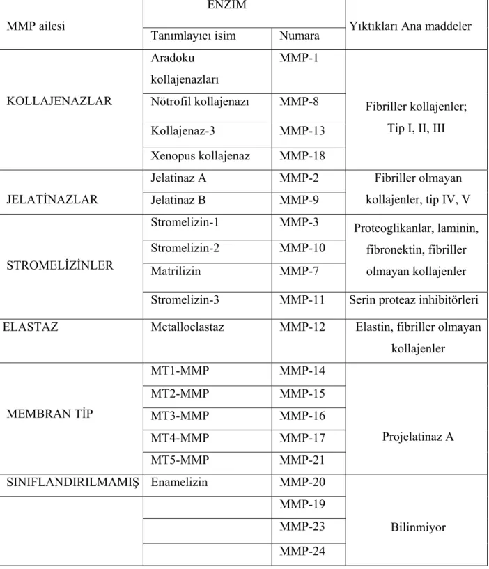 Tablo 1. Matriks Metalloproteinazlar 