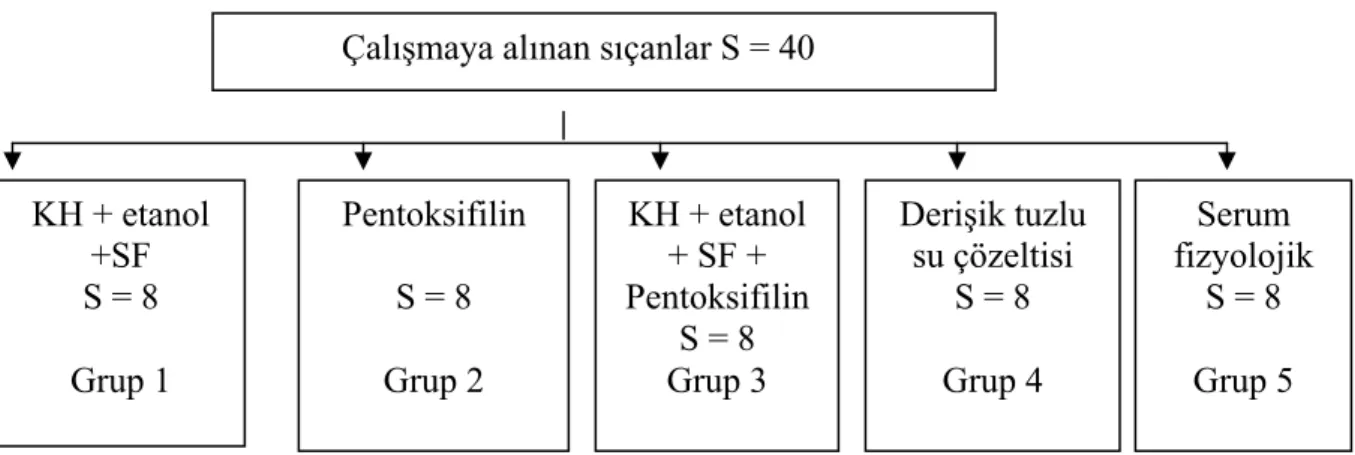 Şekil 4. Çalışma tasarımı 