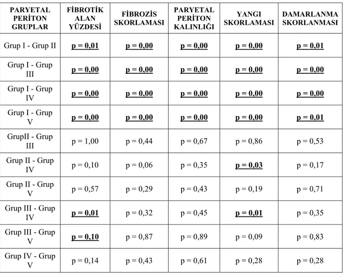 Tablo 5. Tüm histopatolojik göstergeler için paryetal peritona ait ikili grup 