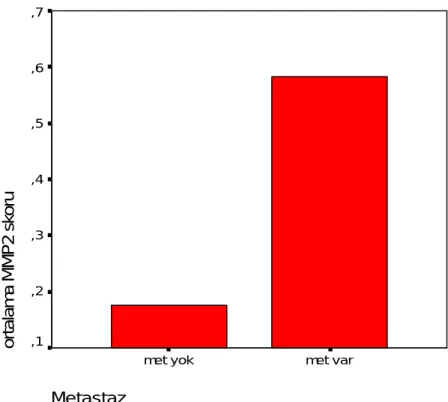 Grafik 4. MMP-2 ekspresyonu ile evre arasındaki ilişki 