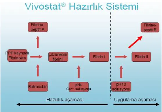 Şekil 9. Kimyasal Yapısı 