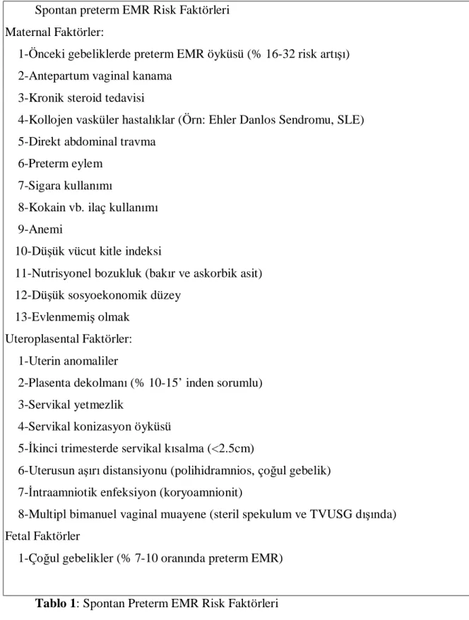 Tablo 1: Spontan Preterm EMR Risk Faktörleri 