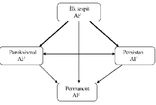 Şekil 1. Atriyal fibrilasyon paternleri 