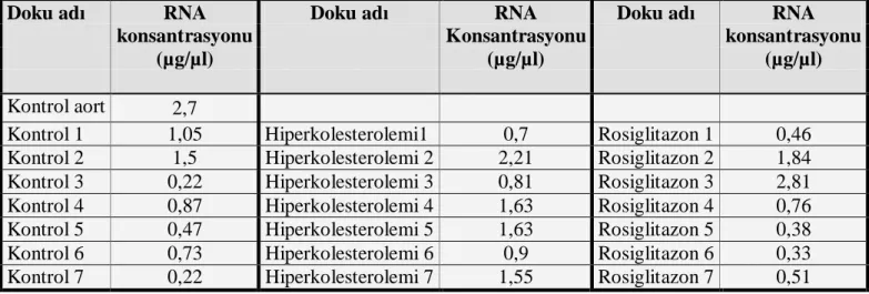 Tablo 6: Örneklerin RNA konsantrasyonları 