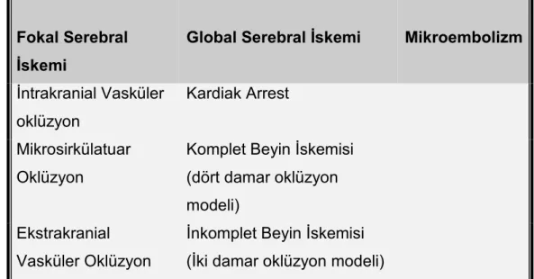 Tablo 4: Deneysel serebral iskemi modelleri sınıflandırılması 