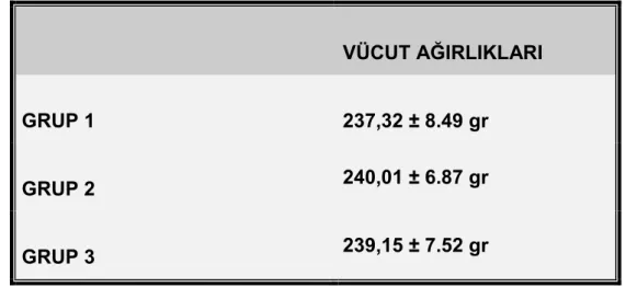 Tablo 5:  Deneklerin vücut ağırlık ortalamaları (ort±SS) 