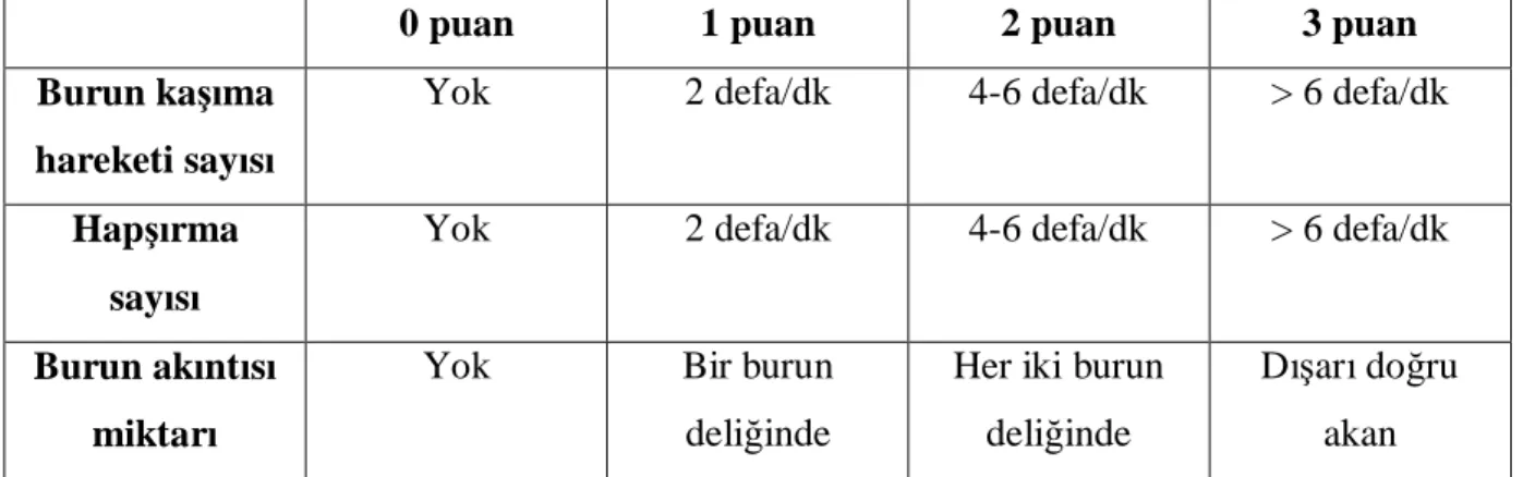Tablo 3. Alerjik rinit skorlama yöntemi 
