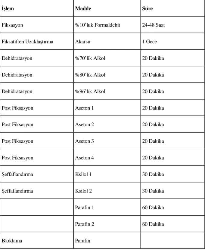 Tablo 4. Rutin doku takibi 