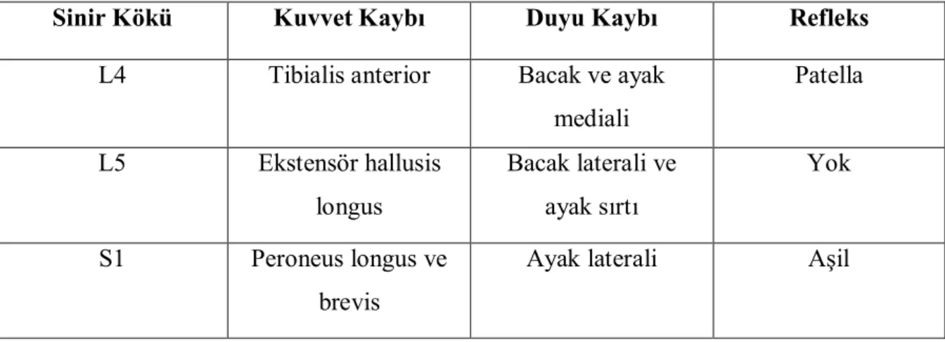 Tablo 2. Lomber kök sendromlarında klinik bulgular            