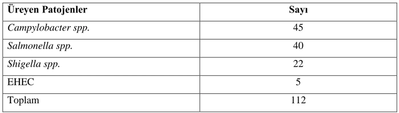 Tablo 3: 01/06/2007-31/05/2008 tarihleri arasında DEÜ Merkez Laboratuvarı’na gelen dıĢkı örneklerinde  üreyen patojen bakteriler ve sayıları 