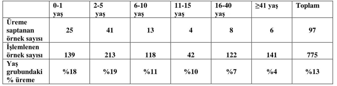 Tablo 4: YaĢ gruplarına göre iĢlemlenen ve üreme saptanan örnek sayıları  