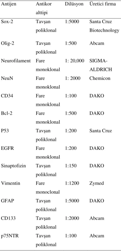 Tablo 3. Çalışmada kullanılan immunohistokimyasal antikorlar 