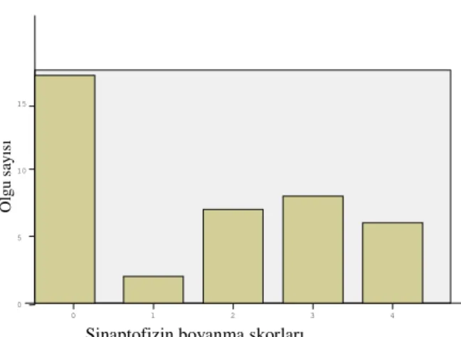 Grafik 1. Sinaptofizin boyanma yaygınlığı 