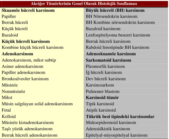 TABLO :3 Akciğer Kanserinin Genel Histopatolojik Sınıflaması 