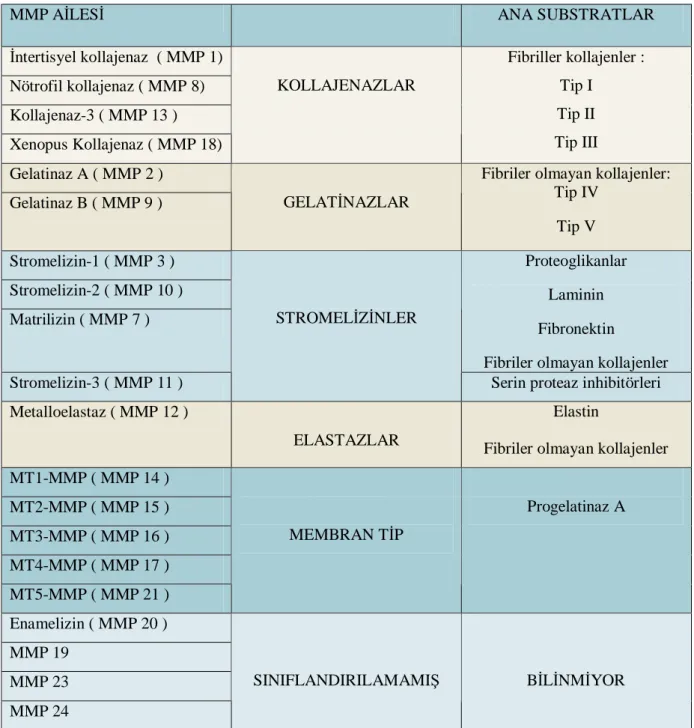 Tablo 3. Matriks Metallo proteinaz ailesi ve substratları