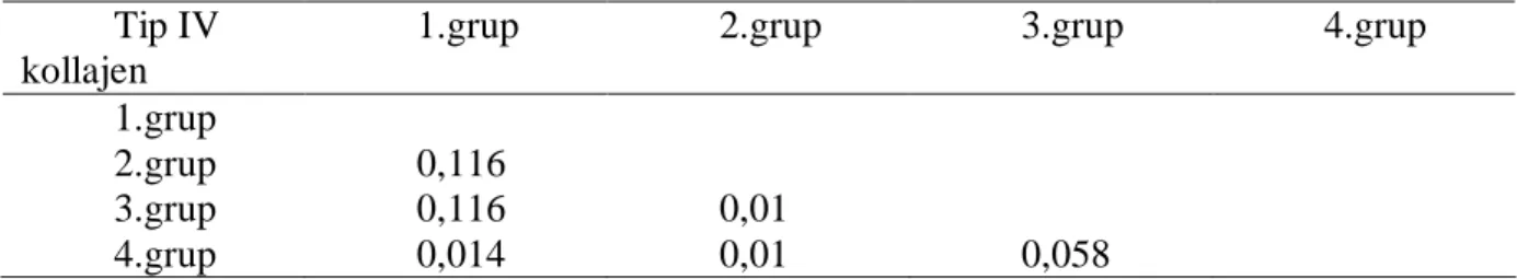 Tablo 8: Tip IV kollajen için yapılan değerlendirmede Gruplar arası fark, (Mann  Whitney U Test ) 