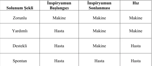 Tablo 12. Temel solunum şekilleri 26 