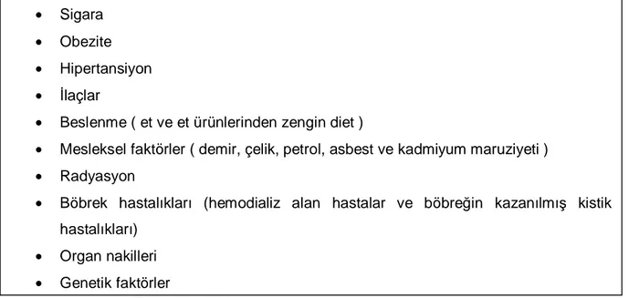 Tablo 2.2. BHK’de potansiyel risk faktörleri (34). 