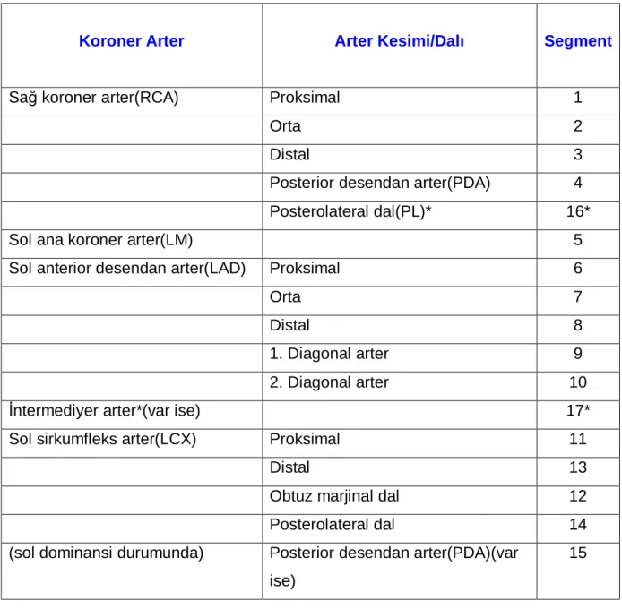 Tablo 1: Segmental koroner anatomi. 