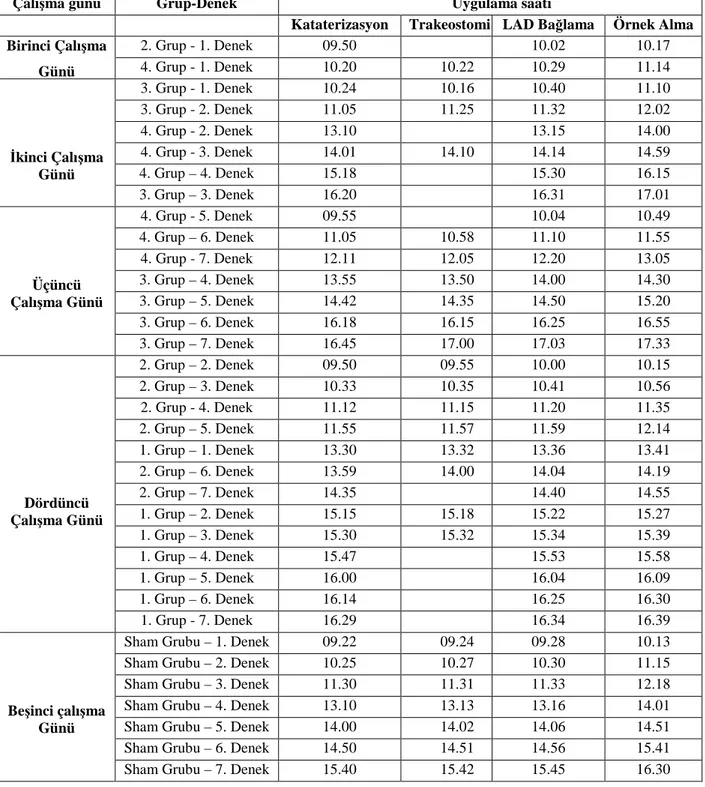 Tablo 1: Tüm deneklerin hemodinamik parametrelerinin elde edilme zamanları. 