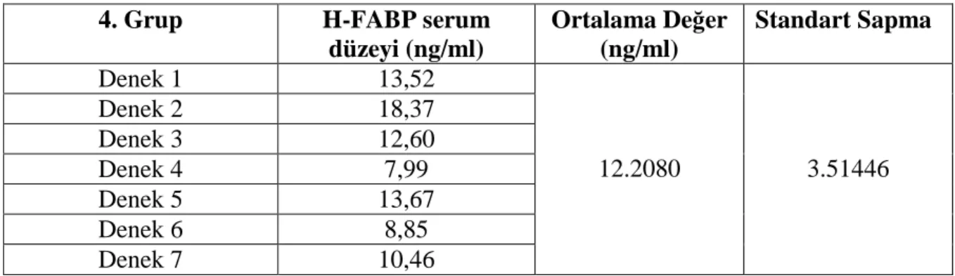 Tablo 13: Dördüncü grubun serum H-FABP değerleri.  