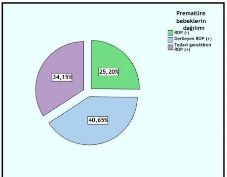 Şekil 5. Prematüre bebeklerin dağılımı
