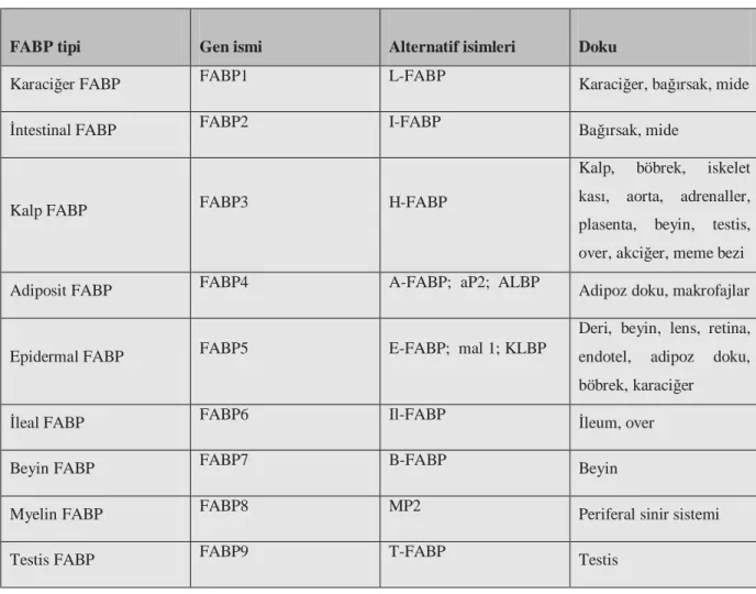 Tablo 4. FABP tipleri ve bulundukları dokular  (66)   