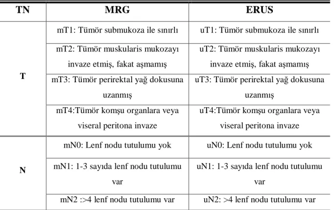 Tablo 7. MRG ve ERUS, T ve N evrelendirmede değerlendirme parametreleri 