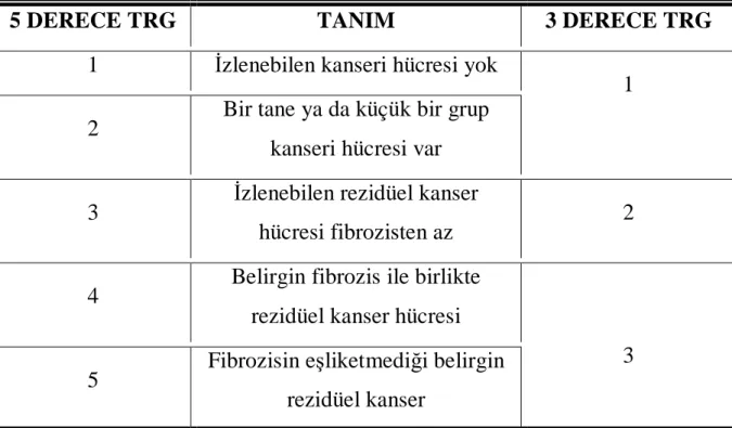 Tablo 8. Tümör regresyon derecesi 