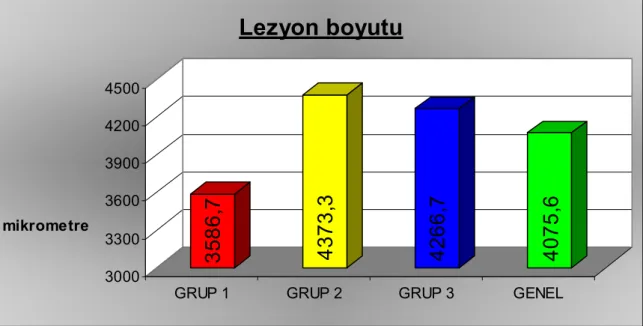 Şekil 4: Gruplara göre ortalama lezyon büyüklüğünün dağılımı