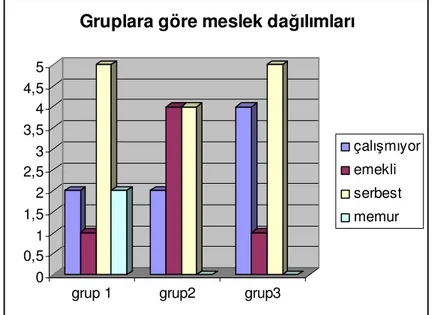 Grafik 3. Gruplara göre meslek da ılımları 