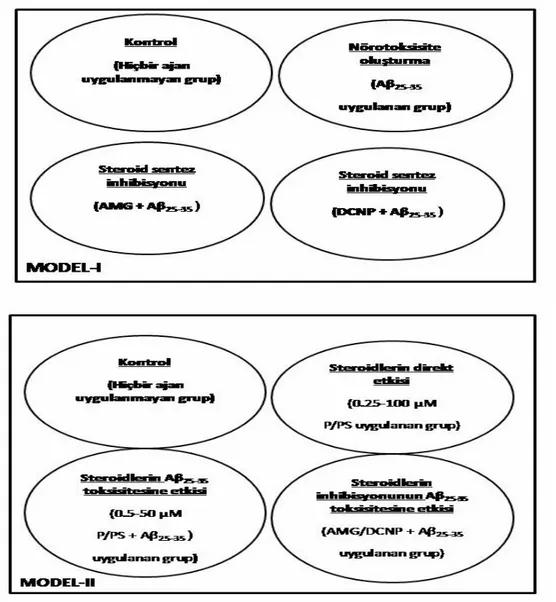 Şekil 14: Model-I ve Model-II’nin şematize edilerek gösterimi 