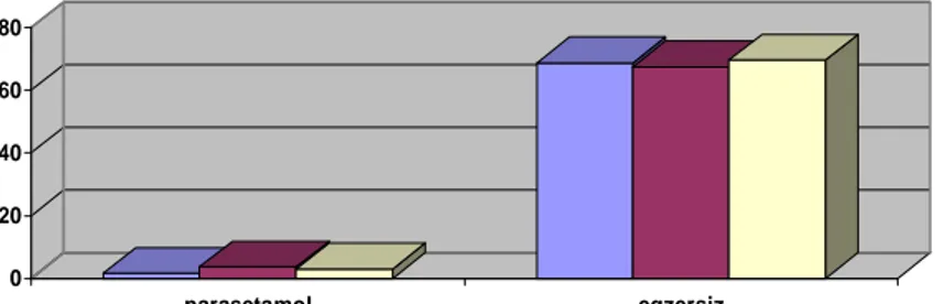 Grafik 3. Hastaların 3 Ay Boyunca Parasetamol Alımı ve Egzersiz Yaptıkları Günlerin  Sayısı   0 20406080 parasetamol egzersiz