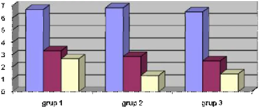 Grafik 6. Hastaların VAS Değerleri 