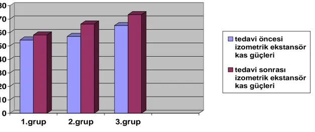Tablo 11.  Grupların İzometrik Ekstansör Ölçümlerinin Ortalama, Standart Sapma ve  Başlangıca Göre p Değerleri 