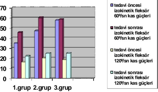 Grafik  11.  Grupların  Tedavi  Öncesi  ve  3.ayda  60º/sn-120º/sn  Açısal  Hızlarda  İzokinetik Fleksör Kas Güçleri 
