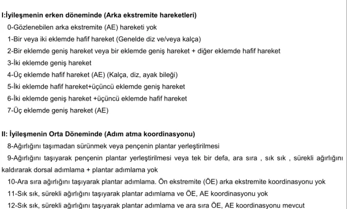 Tablo 9 : BBB davranış derecelendirme skalası 