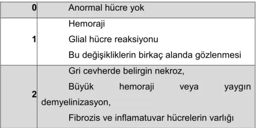 Tablo 10:Histolojik skorlama 