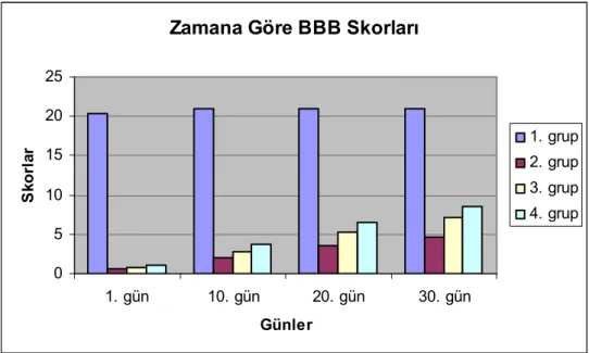 Grafik 2: Zamana göre BBB skorları 