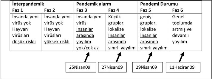 Tablo 3: İnfluenza enfeksiyonu pandemi fazları  