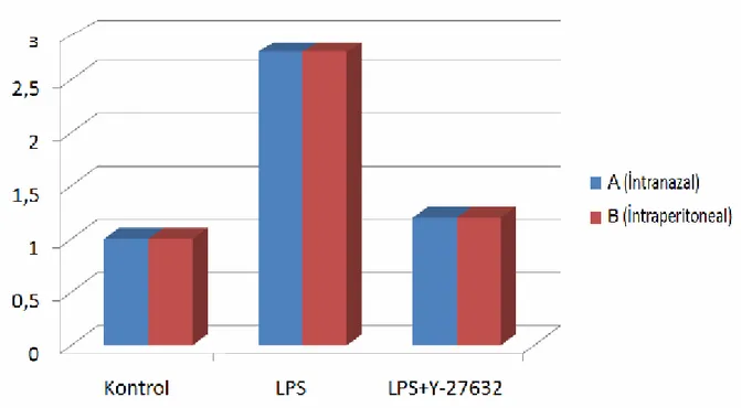 Grafik  1:  A(intranazal)  ve  B(intraperitoneal)  gruplarının  histolojik  dereceleri