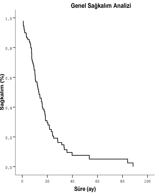 Şekil  1.  Opere  edilmiş  hastaların  genel  sağkalımlarının  gösterildiği    Kaplan-Meier  grafisi  Süre (ay) 100806040200Sağkalım (%)1,00,80,60,40,20,0 Medyan 13.2 ayGenel Sağkalım Analizi