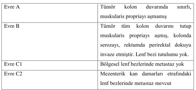 Tablo 3: Astler-Coller evrelemesi 