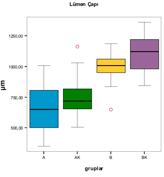 Grafik 5.1.  Ortalama  lümen  çaplarının  karşılaştırılması.  Grup  A;  Resveratrol  almayan  anastomoz  yapılan  grup, Grup AK; Resveratrol almayan anastomoz yapılmayan karşı taraf grup, Grup B;  14 gün resveratrol alan  anastomoz yapılan grup, Grup BK;  