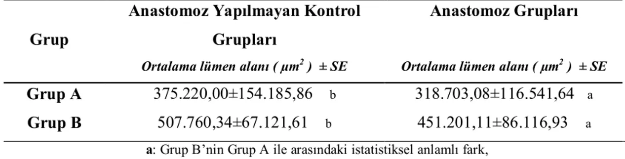 Tablo 5.2. Ortalama lümen alanı kontrol grupları ile karşılaştırması 