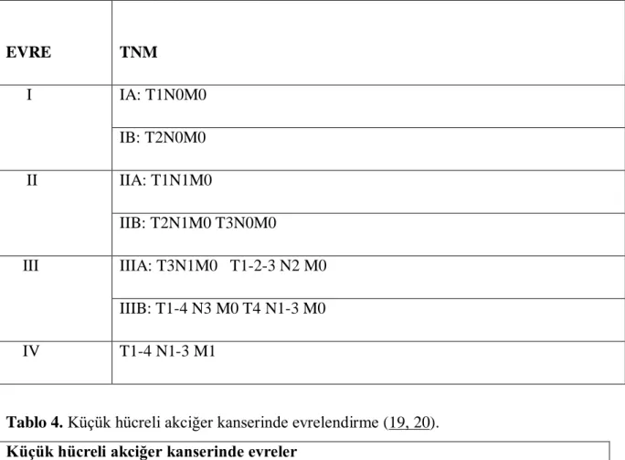 Tablo 3. Küçük hücreli dıĢı akciğer kanserlerinde evrelendirme (19, 20)  