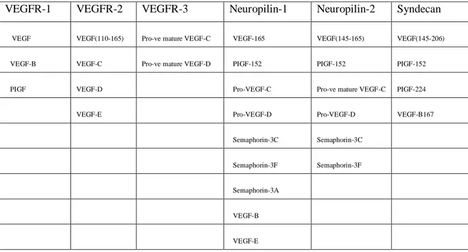 Tablo  9.VEGF  reseptör  ligantları  ve  heparan  sülfat  proteoglikanları  bağlayan  VEGF  ailesi 