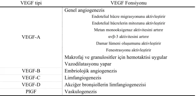 Tablo 5. VEGF tipleri ve fonksiyonları 109