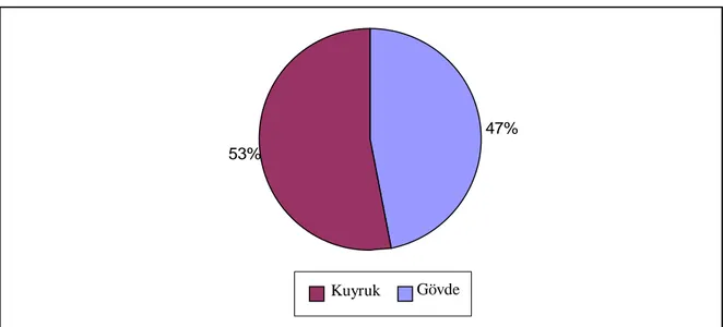 Grafik 4. Distal pankreatektomi yapılan hastalarda tümör yerleşim yerleri 